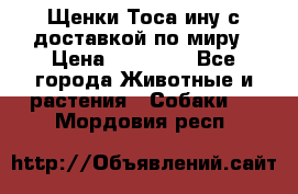 Щенки Тоса-ину с доставкой по миру › Цена ­ 68 000 - Все города Животные и растения » Собаки   . Мордовия респ.
